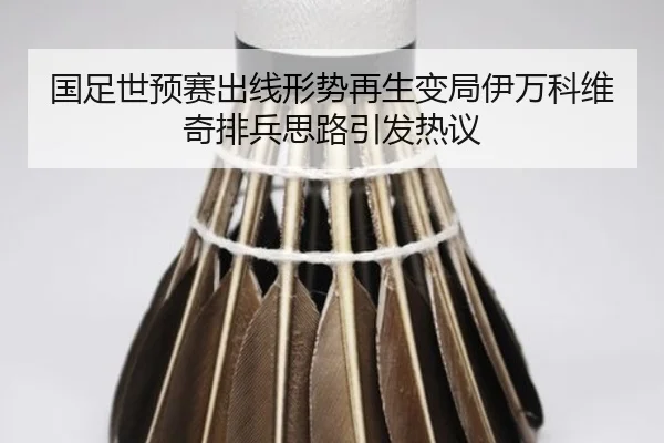 国足世预赛出线形势再生变局伊万科维奇排兵思路引发热议（xingkong.com）